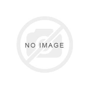 Picture of The Settlers IV
