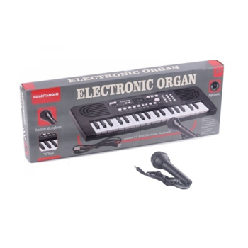 Luantanqin Electronic Keyboard